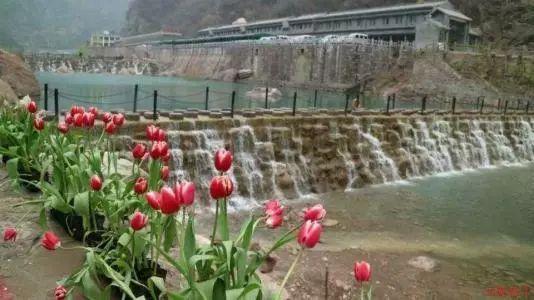 滨州市政协党组(扩大)会议召开